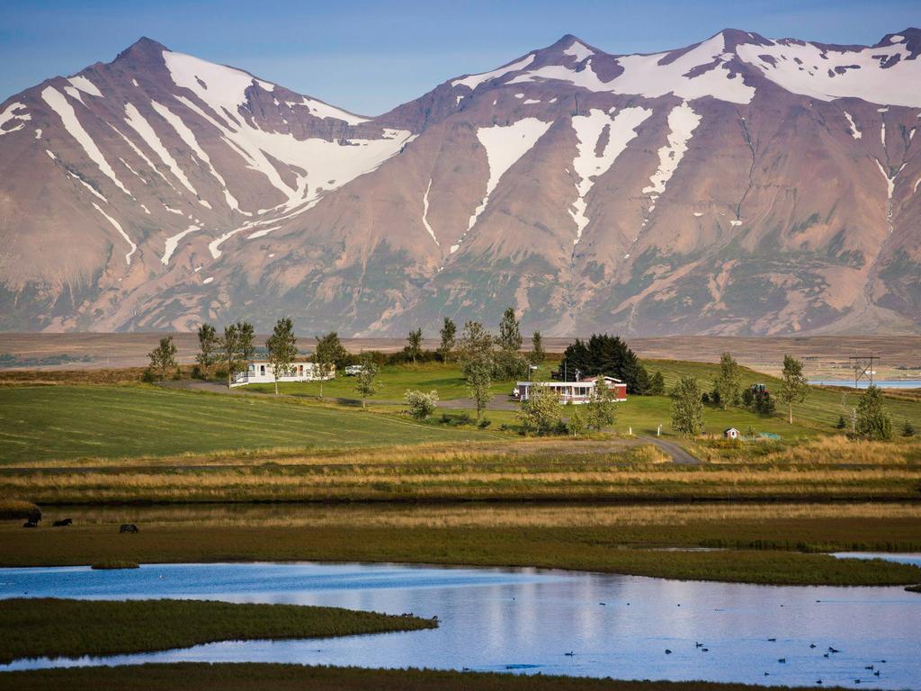 Hoefthi * Dalvik